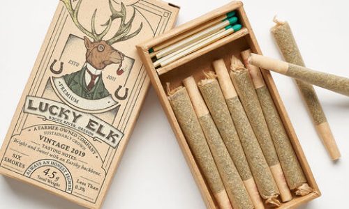 DrawerSleeve Boxes